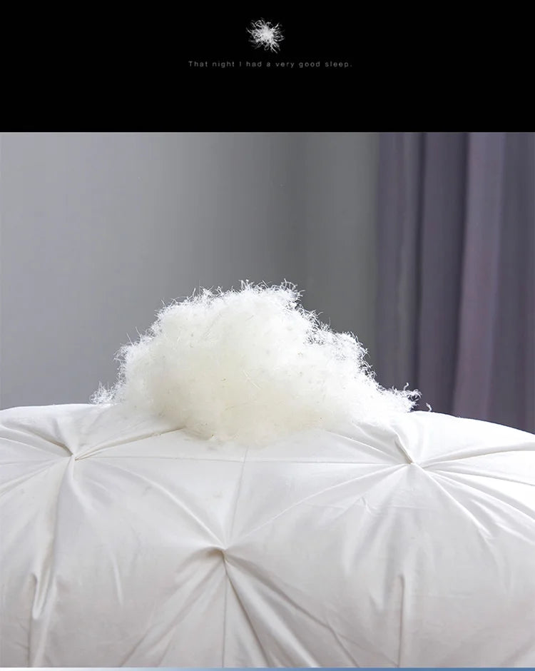 Couette en duvet de canard