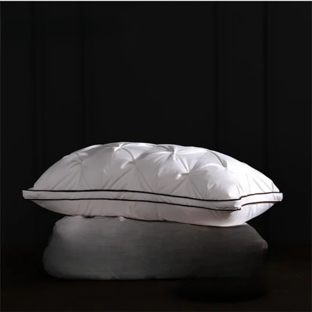 Oreiller duvet d’oie