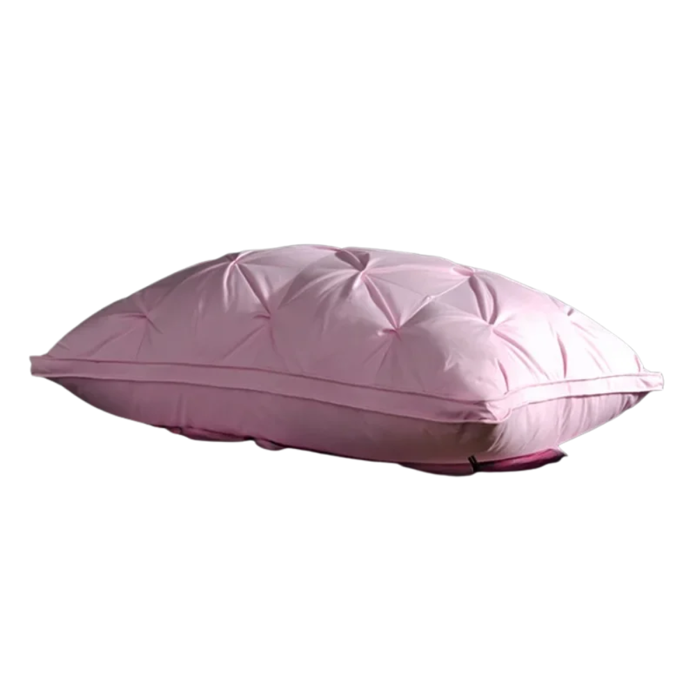 Oreiller duvet d’oie
