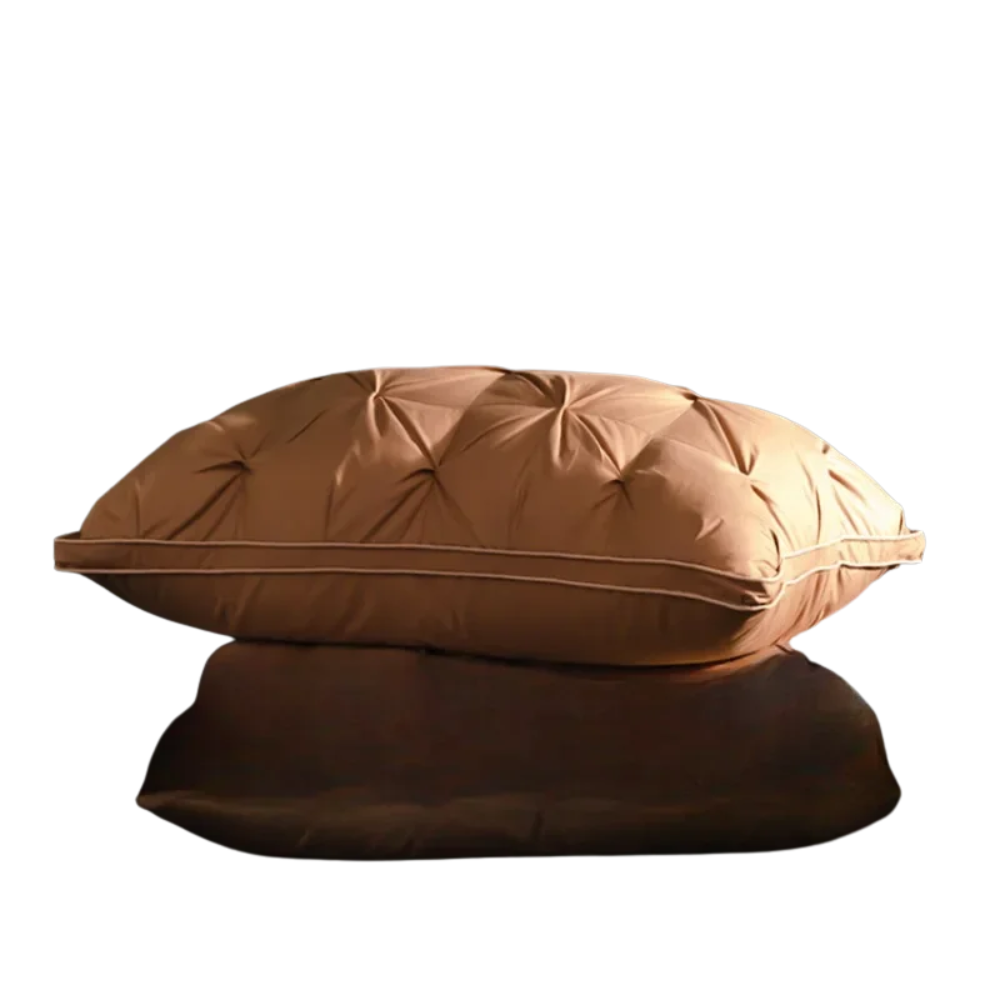 Oreiller duvet d’oie