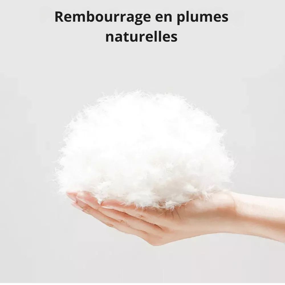 Surmatelas en plume