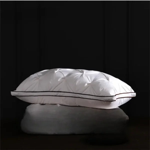 Oreiller duvet d’oie