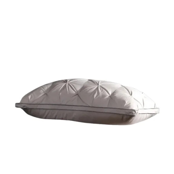 Oreiller duvet d’oie