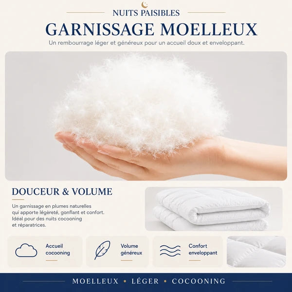 Infographie garnissage moelleux en plumes naturelles : accueil cocooning, volume genereux, confort enveloppant