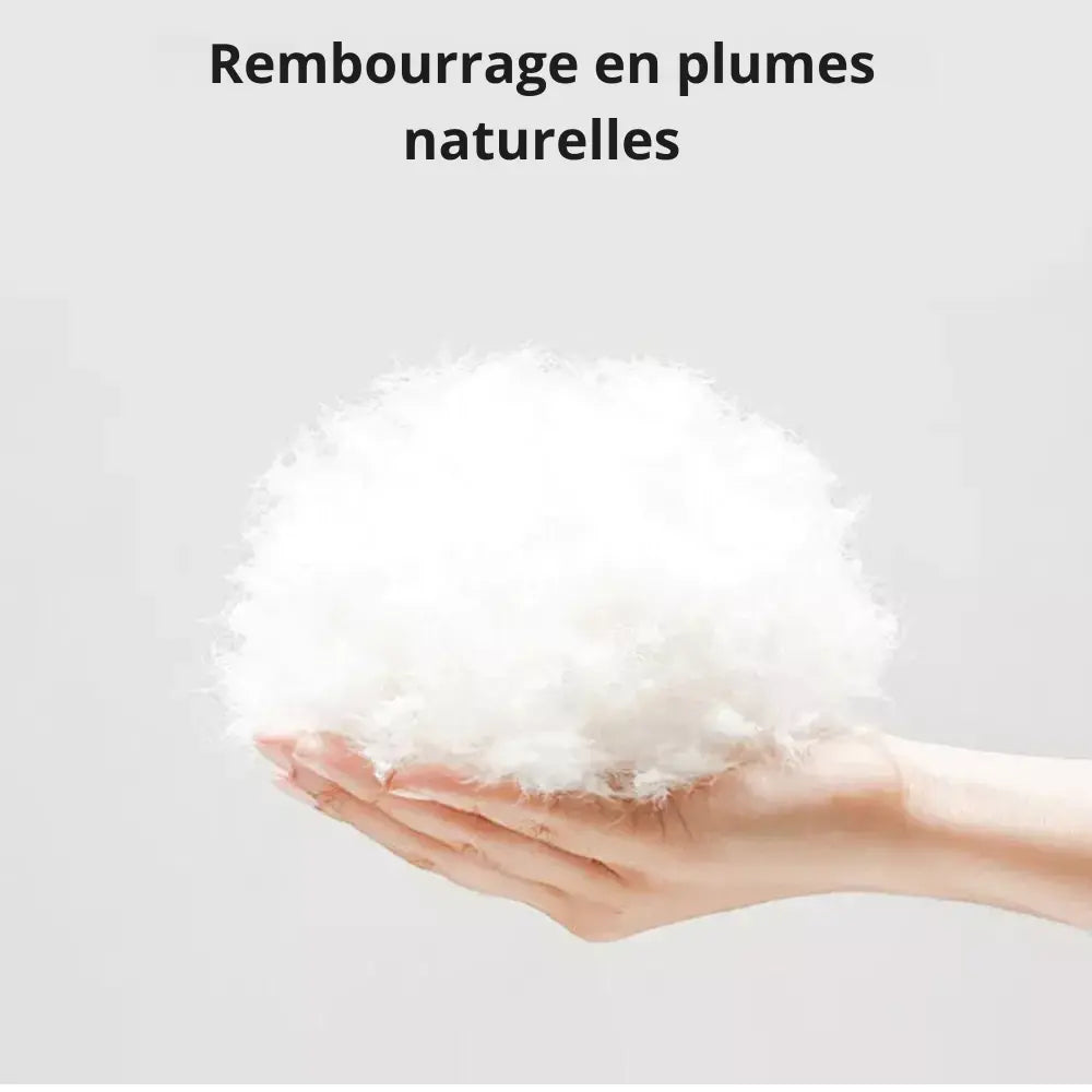 Surmatelas en plume