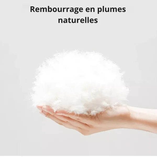 Surmatelas en plume